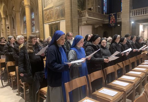 4f9b33f6ea256a0f-photo 49481854842 o