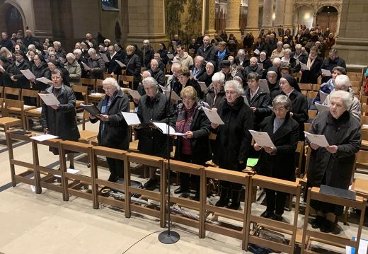 5dc2d4a5584a5385-photo 49481159998 o