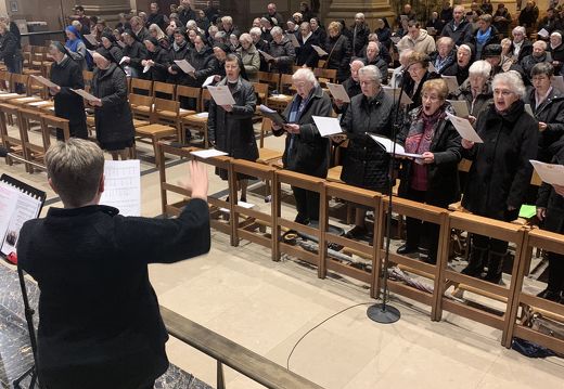 9e29ca563d861f24-photo 49481854512 o