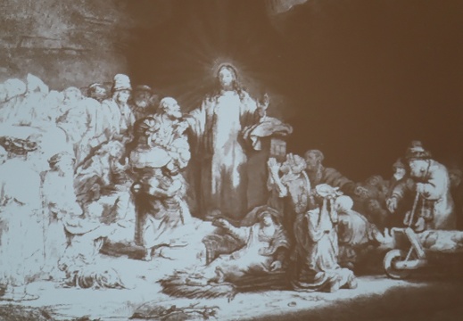 rxx00709 49501565053 o