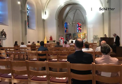 schetter 50000914586 o