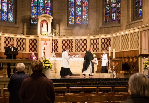 dsc03482 50559074577 o