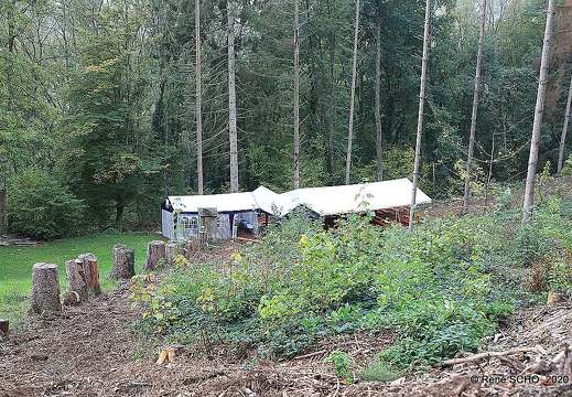 comp scho0001 50505118857 o