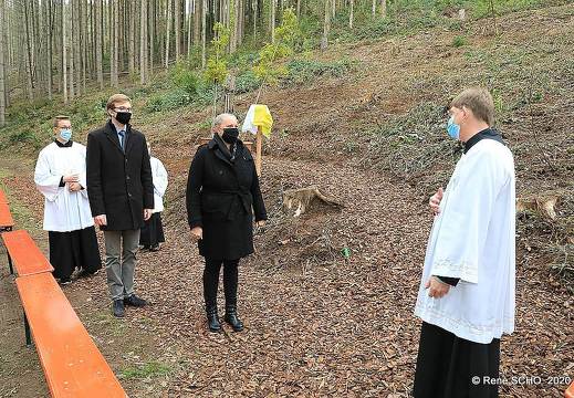 comp scho0115 50505118532 o