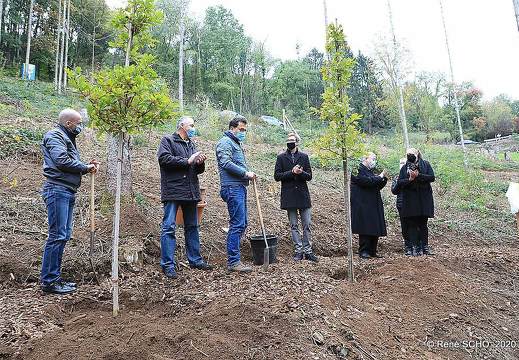 150 Joer – 150 Beem fir eis Diözees | 17.10.20
