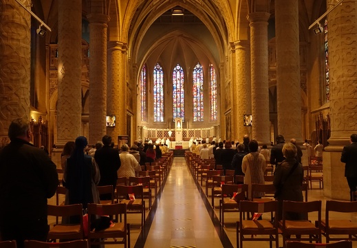 rxx04670 51083034053 o