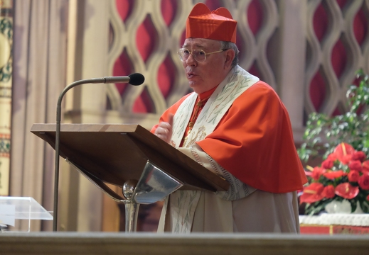 messe-pour-la-communaut-polonaise 51168211530 o