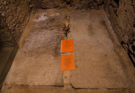 dsc04113 48754261932 o