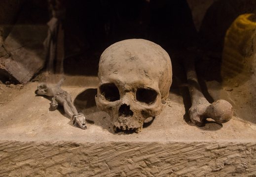 dsc04115 48753747388 o