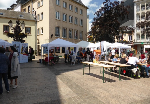 solidarititsdag-20190615-marie-christine-ries 48758078568 o