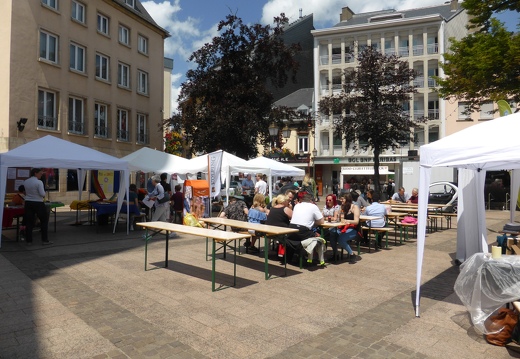 solidarititsdag-20190615-marie-christine-ries 48758402566 o