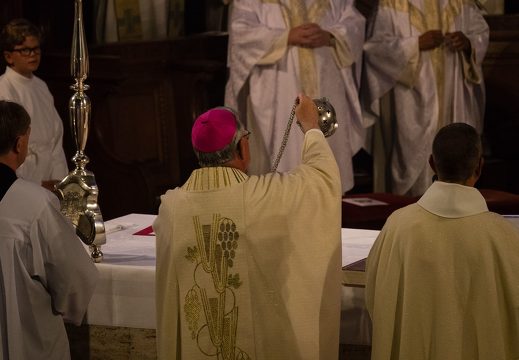 rxx06806 48758470341 o