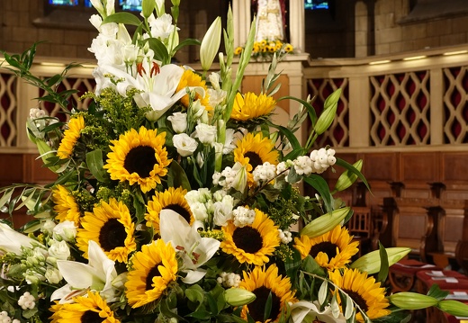 dsc00841 48814653072 o