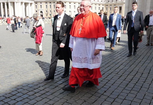 rxx08306 48846685486 o