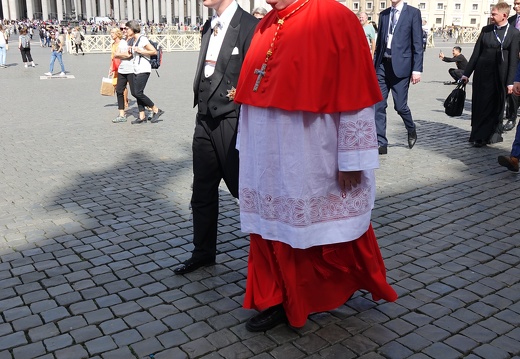 rxx08307 48846877062 o