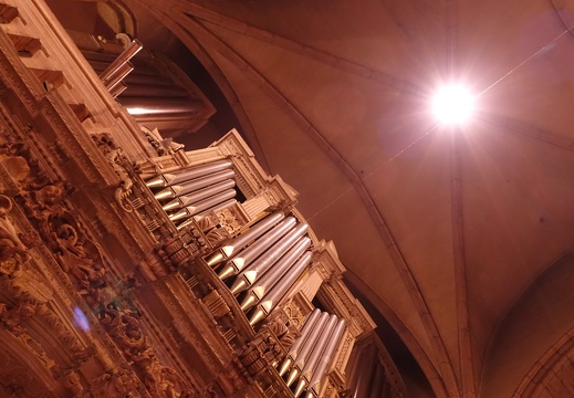 dsc03618 51136782550 o