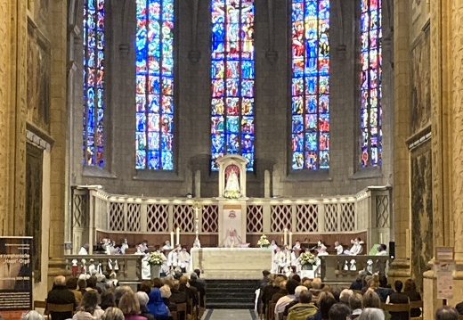 img 5365 51602531185 o