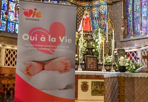 lowres-Foto 13.05.22, 07 56 54