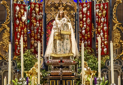 Consolatrix