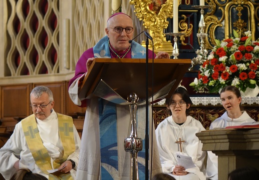 Fieldgen - Oktav2024