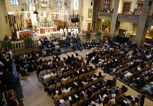 Fieldgen - Oktav2024