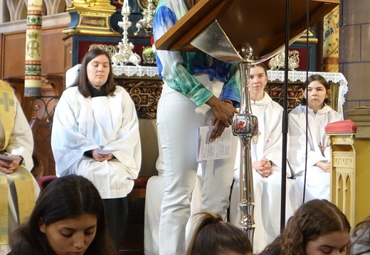 Fieldgen - Oktav2024