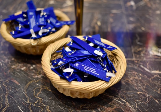 20250511 VeileeSaracco 8158