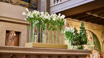 20250516 Fleurs 8585