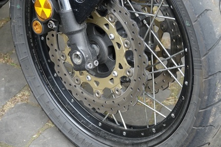 RXX06667