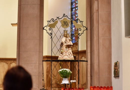 20251012 AdyGoebel DSC 2624