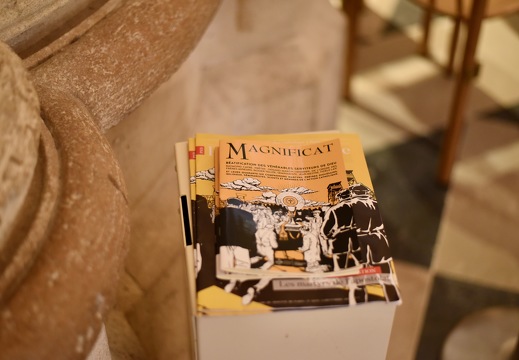 20251213 BeatificationParisMartyrsHollerich DSC 3393