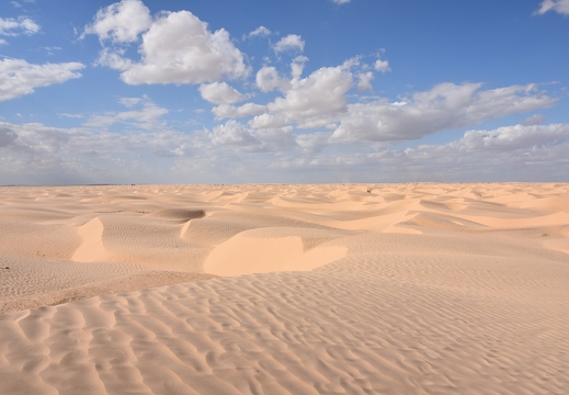 202502 Desert EWS DSC 0677