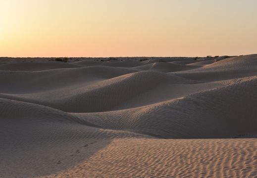 202502 Desert EWS DSC 0916