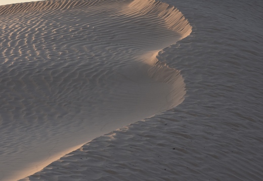 202502 Desert EWS DSC 0925