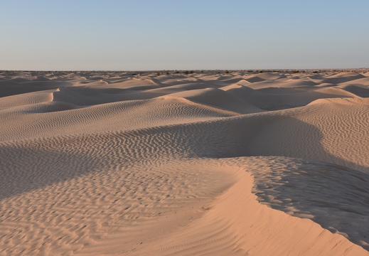 202502 Desert EWS DSC 0927