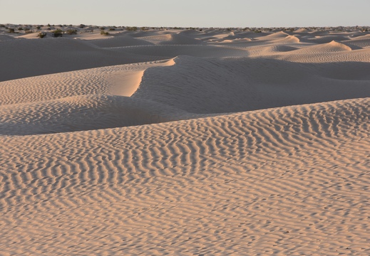 202502 Desert EWS DSC 0937