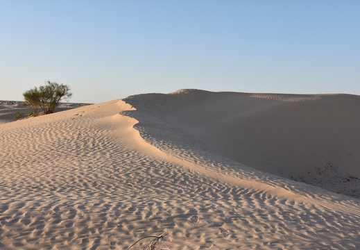 202502 Desert EWS DSC 0953