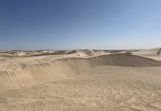 202502 Desert EWS IMG 5397