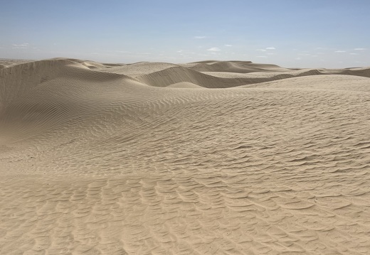 202502 Desert EWS IMG 5404