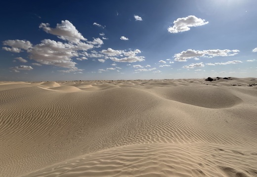 202502 Desert EWS IMG 5424