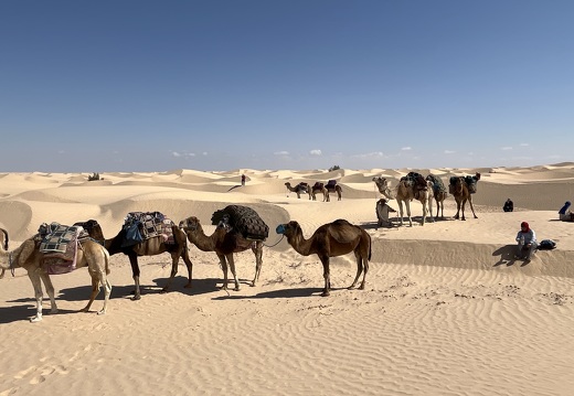 202502 Desert EWS IMG 5474