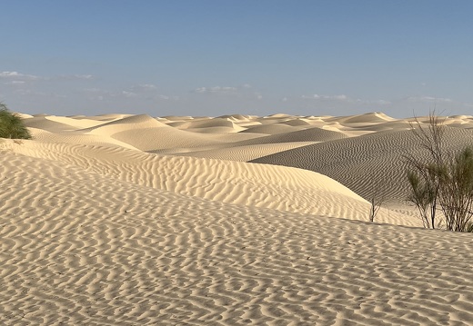 202502 Desert EWS IMG 5556