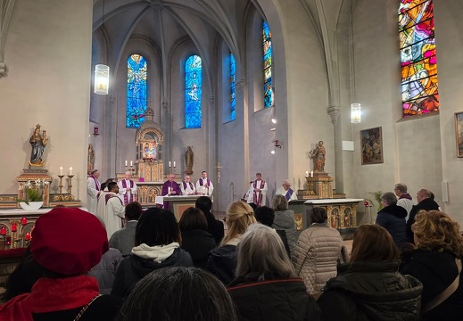 20260223 VisitePastoraleDoyenneSW 8