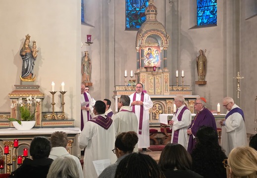 20260223 VisitePastoraleDoyenneSW 9