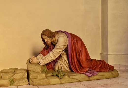 20260223 VisiteBeatitudeRai DSC 5439