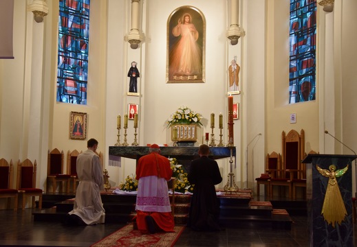20260412 SaintHenriNeudorfDivineMisericorde DSC 7742