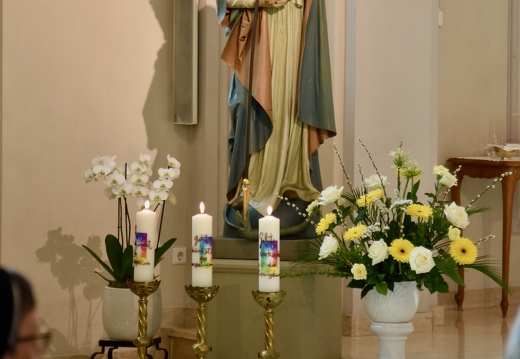 20260411 JubileFranciscaines DSC 7589