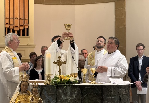 IMG 4409