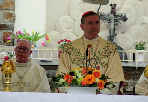 IMG 4741