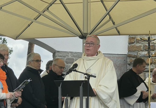 IMG 4733